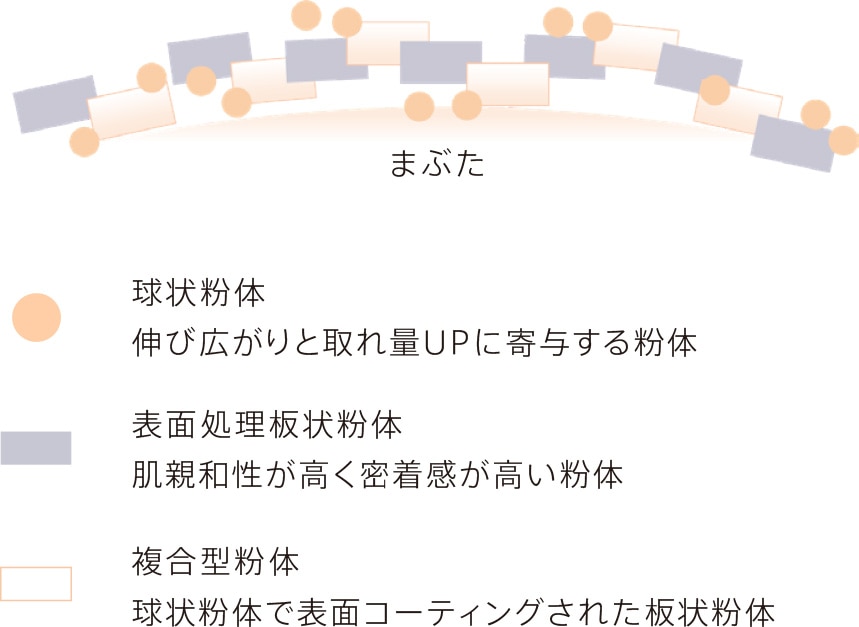 まぶた / 球状粉体 伸び広がりと取れ量UPに寄与する粉体 / 表面処理板状粉体 肌親和性が高く密着感が高い粉体 / 複合型粉体 球状粉体で表面コーティングされた板状粉体